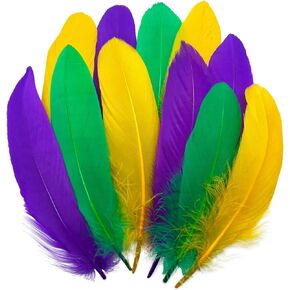 180 Pcs Mardi Gras Craft Feathers Bulk Big Goose Feathers 5-6 Inch for Mardi Gras Decor Carnival Masquerade Party Costume Decoration (Big Goose Feathers)