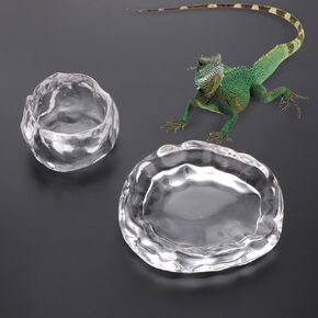 2 Pack Reptile Food Dish and Drinking Bowl Small Food Dish Terrarium Feeder for Small Reptile Lizard Gecko Spider Cricket Baby Bearded Dragon Hermit Crab Snail Turtle