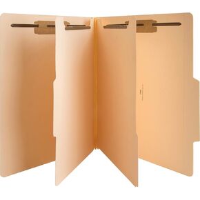 Business Source Classification Folder, Manila (95007)