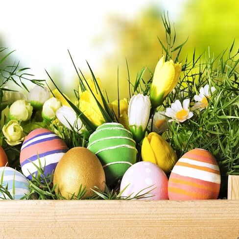 Youhthye 40pcs بيض الرغوة للحرف اليدوية 3.15 بوصة الرغوة البيض البيض البيض البيض الحرف الرغوة البيض البوليسترين بيض الرغوة Laege Laege Begk Bott in Kuwait