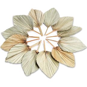 AVLA 12 Pack Boho Dried Palm Leaves, Large Natural Dried Palm Fans, Tropical Dried Palm Spear with Stem, Dried Leaf Plant for Vase, Bohemian Wedding Flower Decoration for Party Office Home Wall Decor