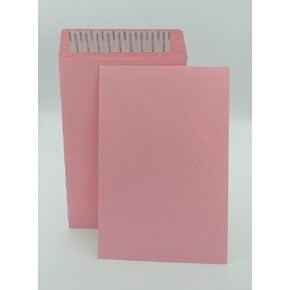 500 Cashier Depot 6 X 9 Catalog Envelopes Peel & Seal, Premium 24lb, Paper, 500/Box (Pink)