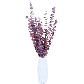 (20Pcs) Dried-Eucalyptus-Stems-Red, Fall Decorations for Home, Real Long Eucalyptus , Eucalyptus Plant Live Natural Fresh, Dried Flowers for Vase, 17" Floral Arrangement, Wedding (Green)