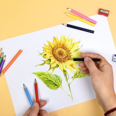 قلم ملون قصير بأيدي صغيرة، مناسب للأطفال من سن 2 إلى 4 سنوات والأطفال في مرحلة ما قبل المدرسة والأطفال الصغار والمبتدئين. قلم رصاص ملون مستدير (10 ألوان) in Kuwait