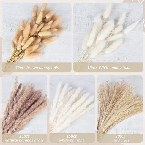 DearHouse 125 قطعة من باقة عشب بامباس الطبيعية المجففة، باقة بوهو لديكور المنزل مقاس 17 بوصة، زهور فراغميت المجففة، باقة لترتيبات زهور الزفاف وديكورات المنزل in Kuwait