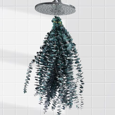 FANCYEASY 30 قطعة من الأوكالبتوس المجفف للاستحمام، حزم نباتات معلقة من الأوكالبتوس الحقيقية، فروع الأوكالبتوس الجافة المعطرة للحمام، غرفة المزرعة، ديكور الحائط، مزهرية ترتيب الزهور بنفسك in Kuwait