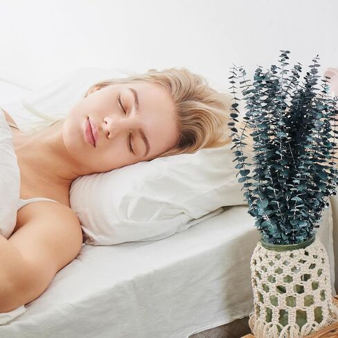 FANCYEASY 30 قطعة من الأوكالبتوس المجفف للاستحمام، حزم نباتات معلقة من الأوكالبتوس الحقيقية، فروع الأوكالبتوس الجافة المعطرة للحمام، غرفة المزرعة، ديكور الحائط، مزهرية ترتيب الزهور بنفسك in Kuwait