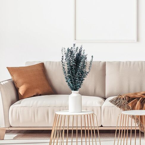 FANCYEASY 30 قطعة من الأوكالبتوس المجفف للاستحمام، حزم نباتات معلقة من الأوكالبتوس الحقيقية، فروع الأوكالبتوس الجافة المعطرة للحمام، غرفة المزرعة، ديكور الحائط، مزهرية ترتيب الزهور بنفسك in Kuwait