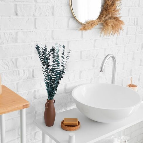 FANCYEASY 30 قطعة من الأوكالبتوس المجفف للاستحمام، حزم نباتات معلقة من الأوكالبتوس الحقيقية، فروع الأوكالبتوس الجافة المعطرة للحمام، غرفة المزرعة، ديكور الحائط، مزهرية ترتيب الزهور بنفسك in Kuwait