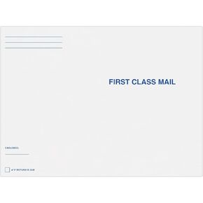 LUXPaper 9 x 12 Open End Tax Envelopes | IRS/State Filing | First Class Mail | Bright White | 24lb. Text | 250 Qty