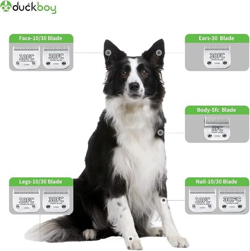 شفرات Clippers Horse Duckboy ، شفرات قابلة للفصل وقابلة للاستبدال ， شفرات عالمية قابلة للفصل لكليبرز للخيول المحترفة ، أعلى وأسفل ، الفولاذ المقاوم للصدأ ، 2 أجهزة كمبيوتر مع 15 + 30 أسنان in Kuwait