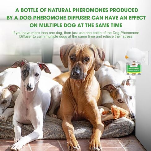 Nodfens Dog Holging Diffuser ، Feromone Diffuser لتهدئة النشر المهدئ في الفيرومون لـ DAGS ، قم بتوصيل+ 1 حزمة 45 مل حزمة تجريبية. in Kuwait