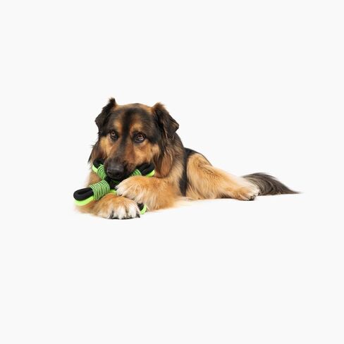 Jolly Pets Tik-Tak-Tugzz Barge/XL X Rope Dog Toy in Kuwait
