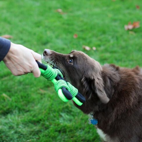 Jolly Pets Tik-Tak-Tugzz Barge/XL X Rope Dog Toy in Kuwait