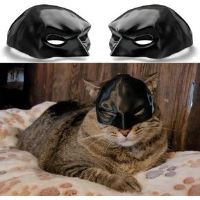 قناع Batcat ، قناع Halloween Black Catbat للقطط ، ملحقات أزياء الهالوين المضحكة ، Cat Catplay لـ Halloween أو متعة كل يوم