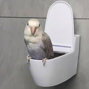 Wall-Mounted Pet Bird Potty Training Tool Toilet-Shaped Bird Potty Training Accessory for Parrots Cockatiels Budgies Wall-Mountable or Cage-Hanging Food Bowl