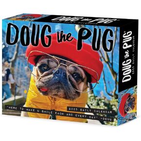 Willow Creek Press Doug the Pug -USA Daily 2025 Box/Desk Calendar (5.86" x 4.72")
