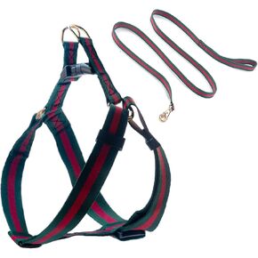 Elegant and Stylish Dog Harness,Durable Soft Neck and Chest Adjustable Pet Harness,Luxury Dog Harness Packing Gift for Medium Dogs