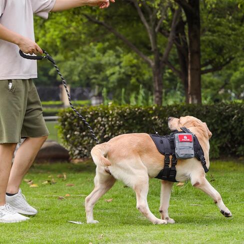 Tactical Dog Harness + Leash, No Pull, Heavy Duty, Adjustable (Black Backbone, Grey Bag, L) in Saudi Arabia
