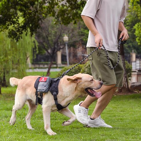 Tactical Dog Harness + Leash, No Pull, Heavy Duty, Adjustable (Black Backbone, Grey Bag, L) in Saudi Arabia