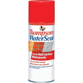 Thompson’s WaterSeal Multi-Surface Waterproofer Stain, Clear, 12 oz Aerosol Can in Saudi Arabia