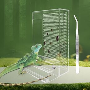 Large Bearded Dragon Feeder, Chameleon Bug Bowl Kit with Steps, Transparent Acrylic Reptile Feeder Box, Tank & Aquarium Accessories, Insect Feeder for Reptile Lizard Gecko Frog 8.2 × 4.3 × 4.7 Inch