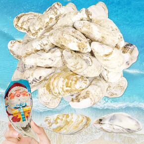16 Pcs 4"-5" Large Oyster Shells, Natural Oyster Shells Bulk Sea Shells for Crafts Home Decor Vase Filler Xmas Ornaments DIY Beach Themes Wedding Mother's Day