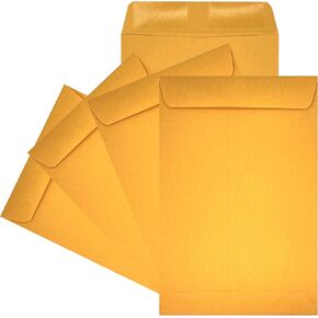 250 Cashier Depot 6" X 9" Catalog Envelopes (Open End), Sturdy 24lb., 250 Envelopes (24lb. Kraft (Gum))
