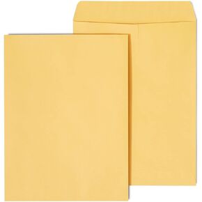 Staples 486940 9-Inch X 12-Inch Brown Kraft Catalog Envelopes 250/Box (486940/17032)