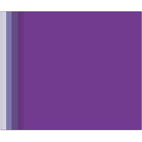 Purple Cardstock Craft Paper, 24 Sheets 12" x 12" Art Kraft Cover Stock, 65lb/180GSM for Card Construction Making, Scrapbooking, Printing, Quilling and Crafts DIY 4 Shades, 6 Sheet Each Color
