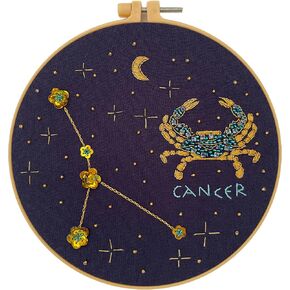 mozhijing Constellation Embroidery Kit for Adults with Stamped Pattern, Round Beads for Embroidery DIY Crafting,Cross Stitch Beginner Kits with Frame,Star Sign Embroidery Kit. (Pisces)