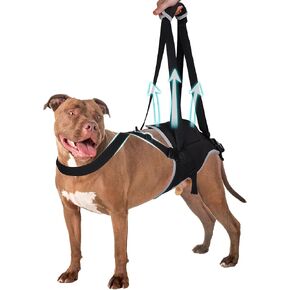 Dog Support Harness for Back Legs, Dog Sling for Large Dogs Hind Leg Support, Lift and Walk Elderly Dogs, Dog Hip Support Harness for Pet Mobility, Recovery, Small