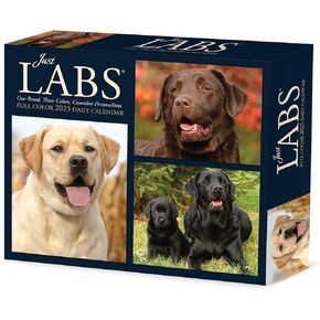 Labs 2025 6.2" x 5.4" Box Calendar