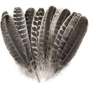 ZZHXSM 12pcs Natural Turkey Feather 8" - 10" for DIY Crafts Making, Clothes Decoration, Family, Wedding, Birthday Party Decoration