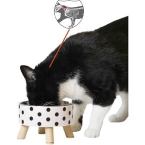 Elevated Dog and Cat Single Food Bowl with Plastic Wood-Style Stand, Stainless Steel Raised Feeding Station for Small Pets – Anti-Choking Design, 8 Oz Removable Bowl with Anti-Slip Feet (Polka Dot)