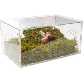 Pet Snail Terrarium Kit with 11.22-inch x 7.87-inch x 6-inch Snail Terrarium and a 7-inch Pet Snail Climbing Wall