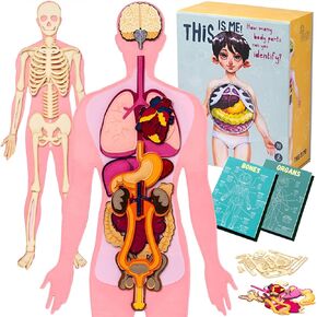 This is me Montessori Essential Large 3 feet Human Body Model for Kids. Learning Toys for Homeschool Curriculum and Puzzles for Kids. Homeschool Supplies for Teaching and for Your Room.