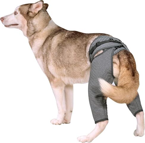 Dog Hind Leg Recovery Sleeve, Adjustable Dog Recovery Suit with Buckle as Cone Collar Alternative, Thick Rear Leg Recovery Lick Sleeve to Prevent Licking Wound for Dogs, M in Saudi Arabia