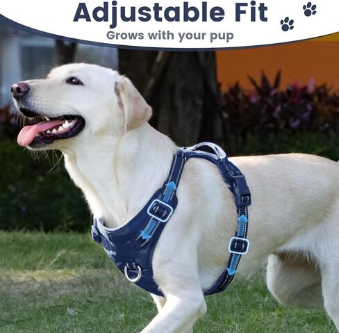 No Pull Dog Harness, Reflective Puppy Vest for Small Medium Large Sized Dog(Prussian Blue,L) in Saudi Arabia