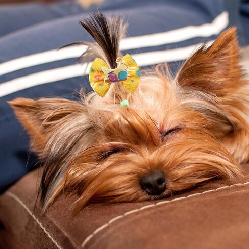 20pcs/10 أزواج من Easter Yorkie Dog Puppy Hair أقواس الشعر مع عصابات مطاطية الشعر إكسسوارات القوس حيوان أليف لطيف للحيوانات الأليفة الصغيرة القوس (أصفر) in Kuwait