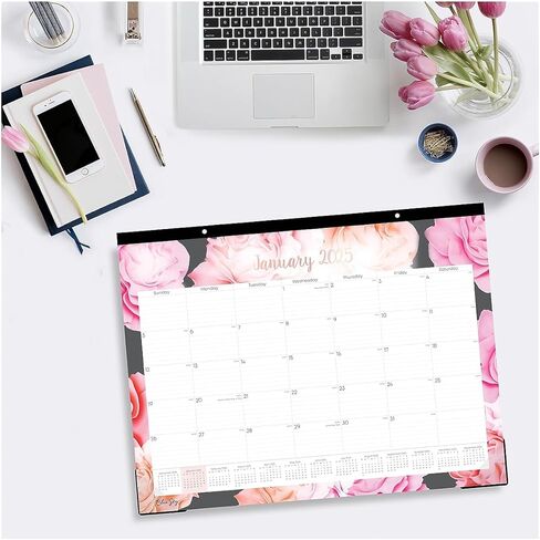 Blue Sky 2025 تقويم لوحة المكتب الشهري ، يناير 2025- ديسمبر 2025 ، 22 "× 17" ، ربط الشريط المقطوع ، ثنائي الفتحة ، كتل يومية ، للمكتب والفصول الدراسية ، Joselyn (Joselyn- 2025 ، 22 "× 17") in Kuwait