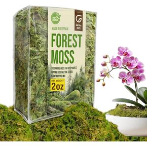 2 Oz Forest Moss for Indoor Plants, Dried Moss for Potted Plants Terrariums, Forest Orchid Moss for Potting Mix, Reptile Bedding, Turtle, Snake Bedding, DIY Projects, Craft Decor