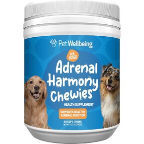 Pet Wellbeing Adrenal Harmony Chewies - Adrenal Health, Cortisol Balance, Antioxidant Support, Ashwagandha, Holy Basil, Bacopa - Veterinarian-Formulated Supplement for Dogs (90 Soft Chews)