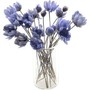 مزهريات زجاجية Taodan مع مجموعة الزهور المجففة ، اللافندر الأرجواني ، ملحقات دمية مصغرة in Kuwait