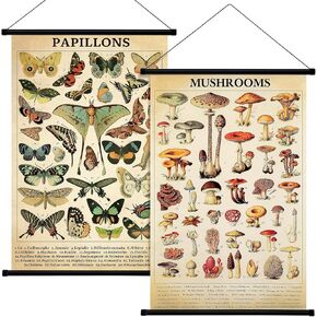 Lewtemi 2 Pcs Vintage Mushroom Flower Butterfly Poster Fungus Rustic Wall Hanging Illustrative Reference Chart Poster for Living Room Bedroom, 15.4 x 23.6 Inch(Mushroom, Butterfly)