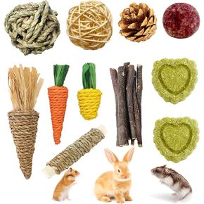 ألعاب Hamster Phets ، 11pcs Care Rabbit Care مجموعة حلوة من الخيزر
