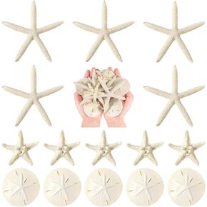 Queekay 30 Pieces Resin Starfish Sand Dollars 2.0 Inch 4.7 Inch Starfish 2.3 Inch Sand Dollars Crafts Ocean Themed Glittered Coastal Decorations for Christmas Wedding Party Decor Supplies