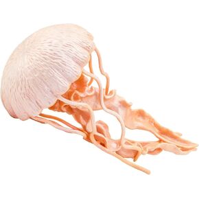 Safari Ltd. Jellyfish Figurine - Detailed 5" Plastic Model Figure - Fun Educational Play Toy for Boys, Girls & Kids Ages 3+