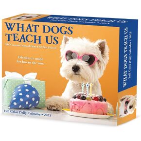 Willow Creek Press What Dogs Teach Us Daily 2025 Box/Desk Calendar (5.86" x 4.72")