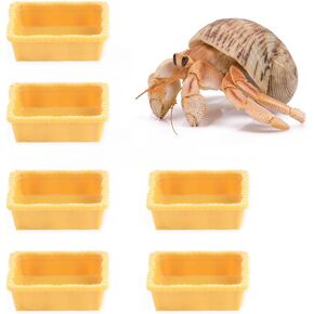 6 PCS Crab Crab Micro Food Bowl Phars طبق صغير للمياه لسرطان البحر الرتيلاء النملة النملة